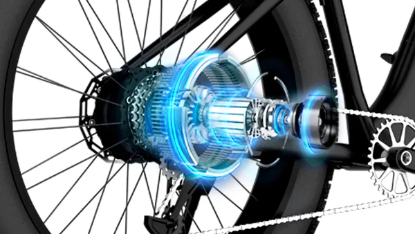 Hiboy P6 Motor